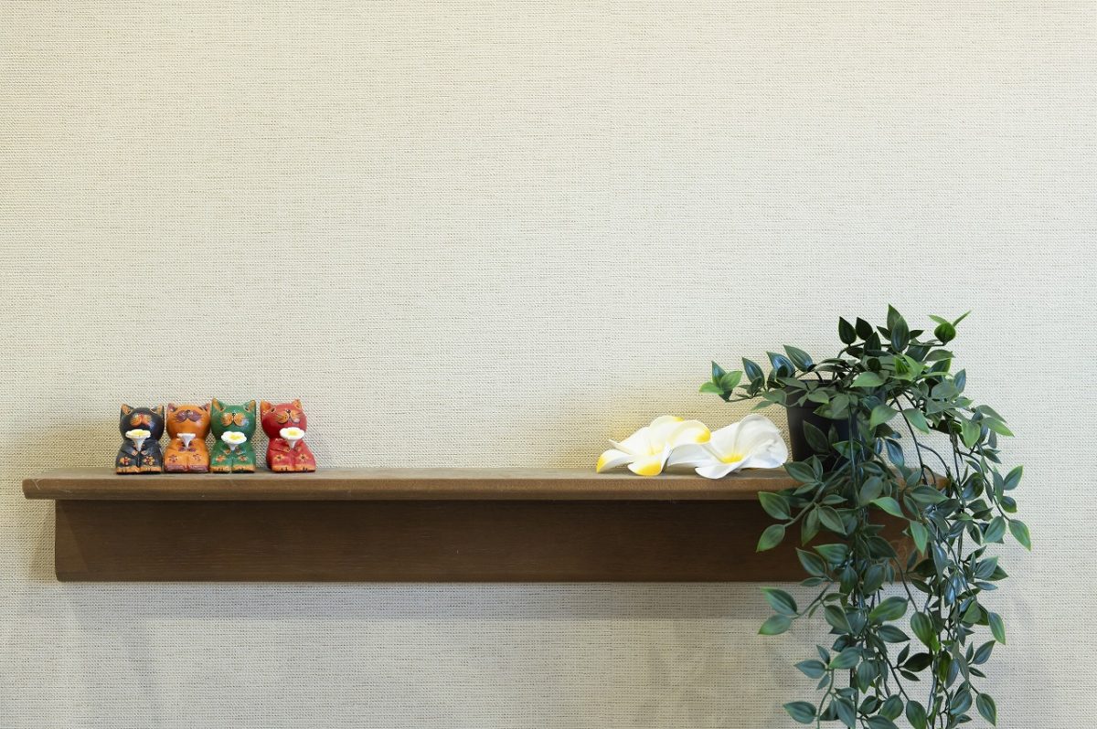 施設紹介｜坂井輪ライト歯科